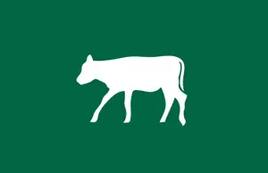 EU Weanling Prices