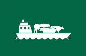 Live Cattle Exports